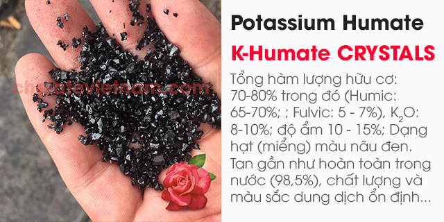 Kali Humate (Tan hoàn toàn) CRYSTALS bón lá (Humic: 65-70%; K2O: 8-10%; Fulvic: 5-7%)